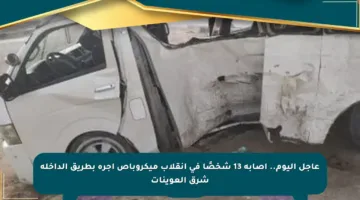 عاجل اليوم.. إصابة 13 شخصًا في انقلاب ميكروباص أجرة بطريق الداخلة شرق العوينات